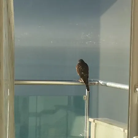 فندق سوفالي 3*