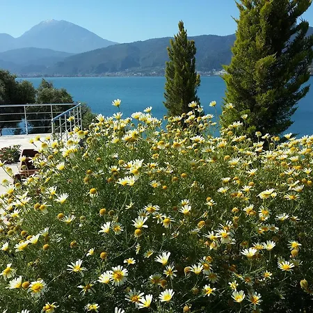 فندق سوفالي