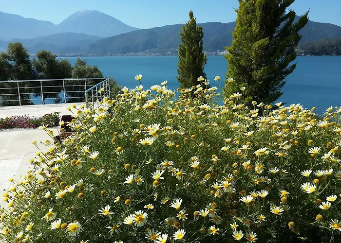 فندق سوفالي