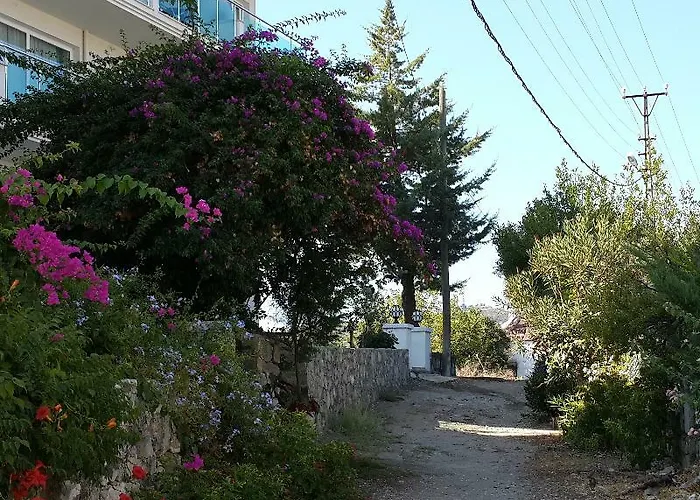 سوفالي فتحية