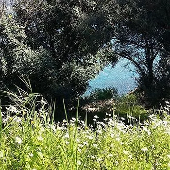 Otel Sovalye Fethiye